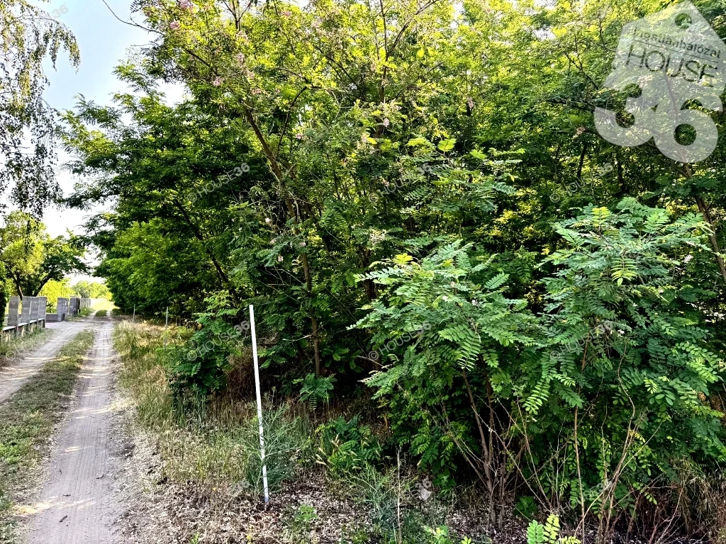 For sale periphery plot, Kecskemét, Kisfái