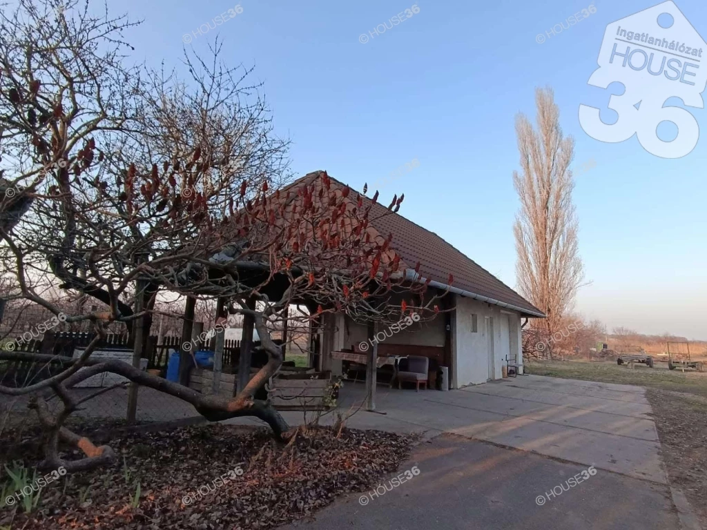 For sale plough-land, pasture, Lajosmizse