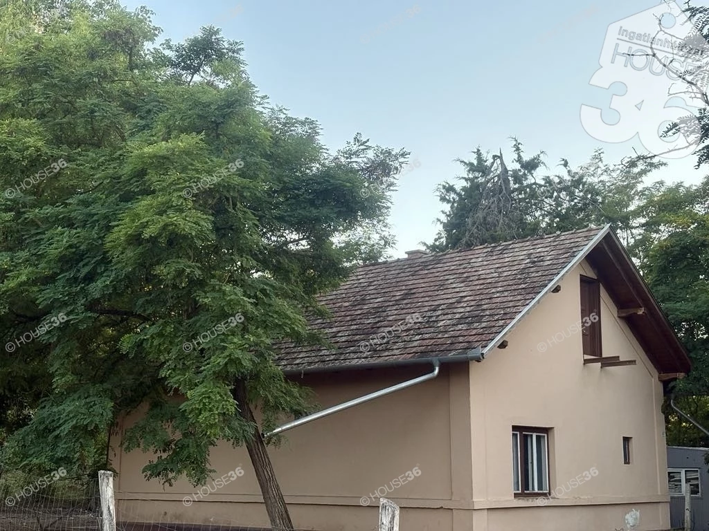 c3-1-name c2-1-name, Lakitelek