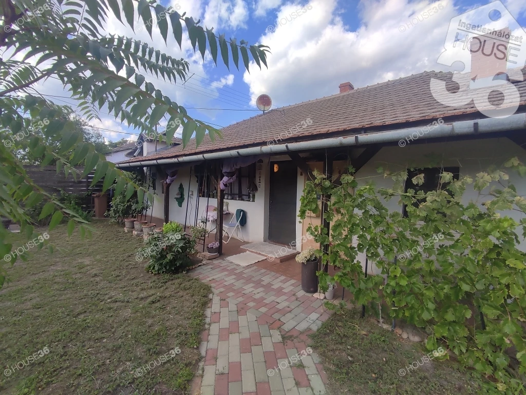 c3-1-name c2-1-name, Tiszaalpár