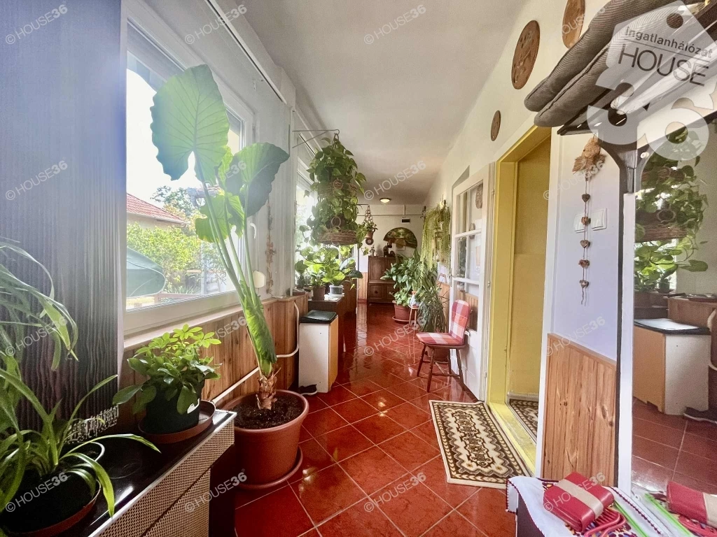 c3-1-name c2-1-name, Tiszaalpár