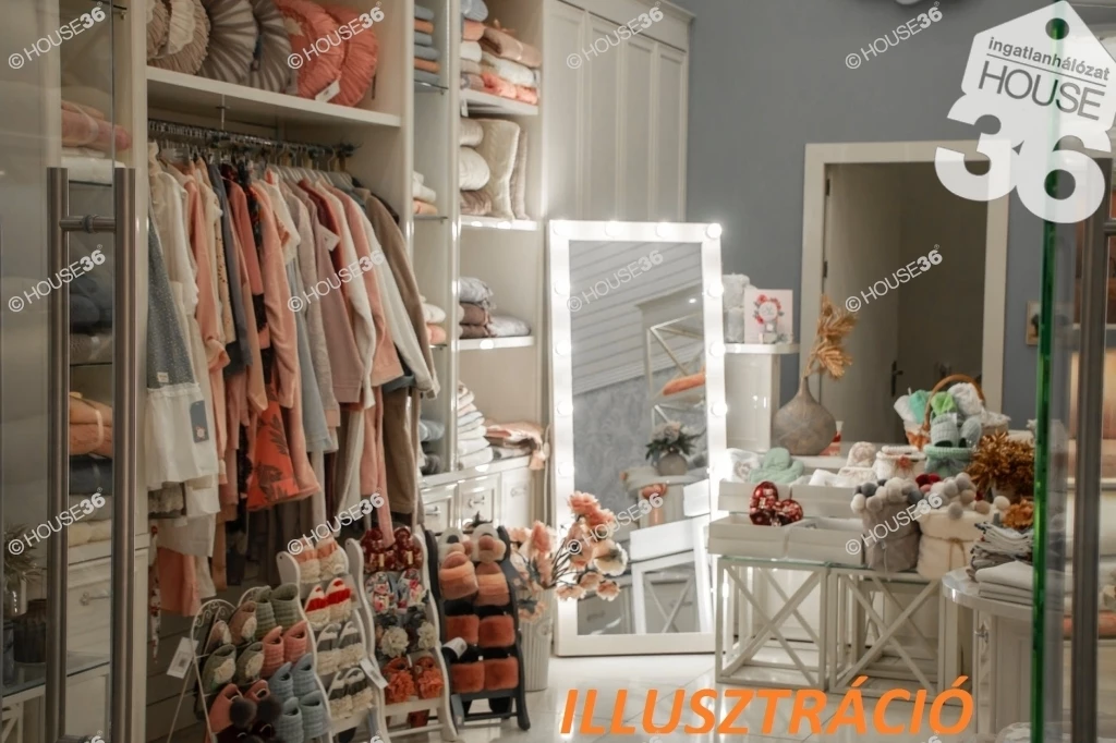 BÁCS-KISKUN MEGYEI KERESKEDELMI EGYSÉG ÉS LAKÓINGATLAN ELADÓ!