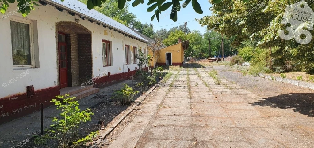 c3-1-name c2-65-name, Izsák