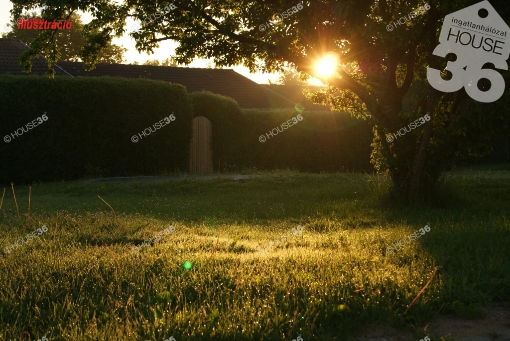 c3-1-name c2-84-name, Kiskunfélegyháza