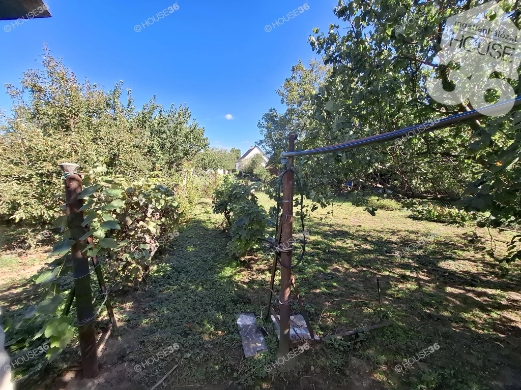 For sale house, Maglód