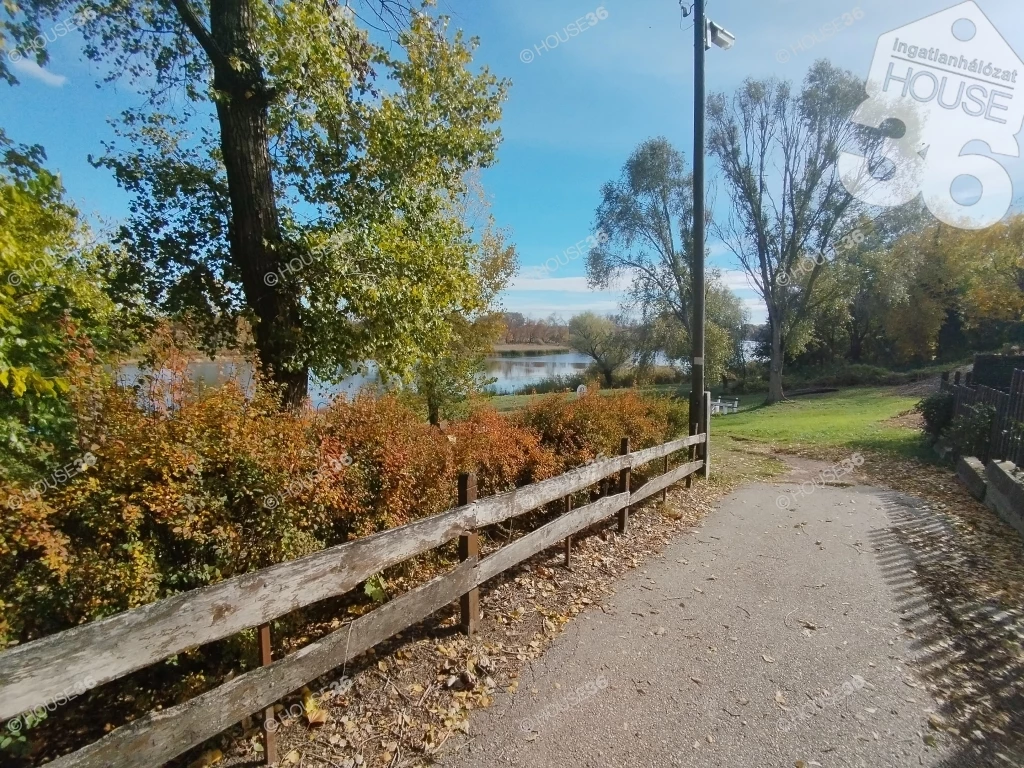 For sale house, Tiszaalpár