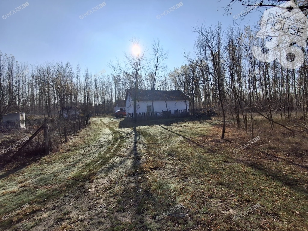 Tanya Petőfiszálláson melyet csupa zöld ölel körül!