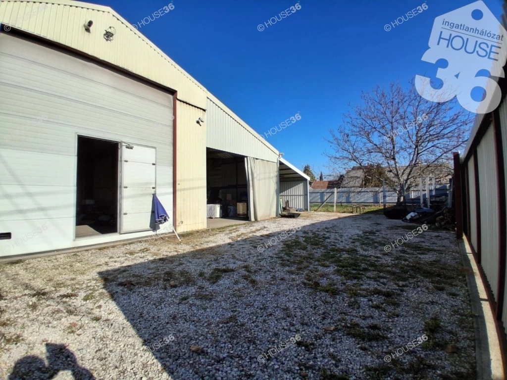 c3-1-name c2-50-name, Izsák