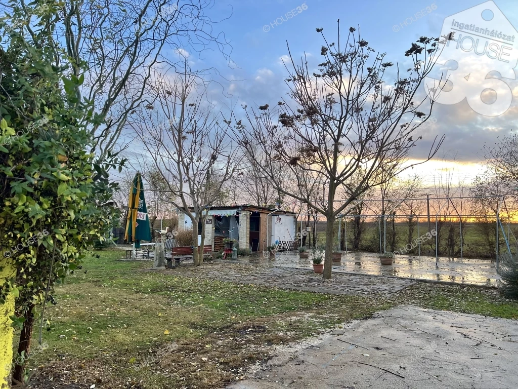 For sale grange, Kecskemét, Kósafalu