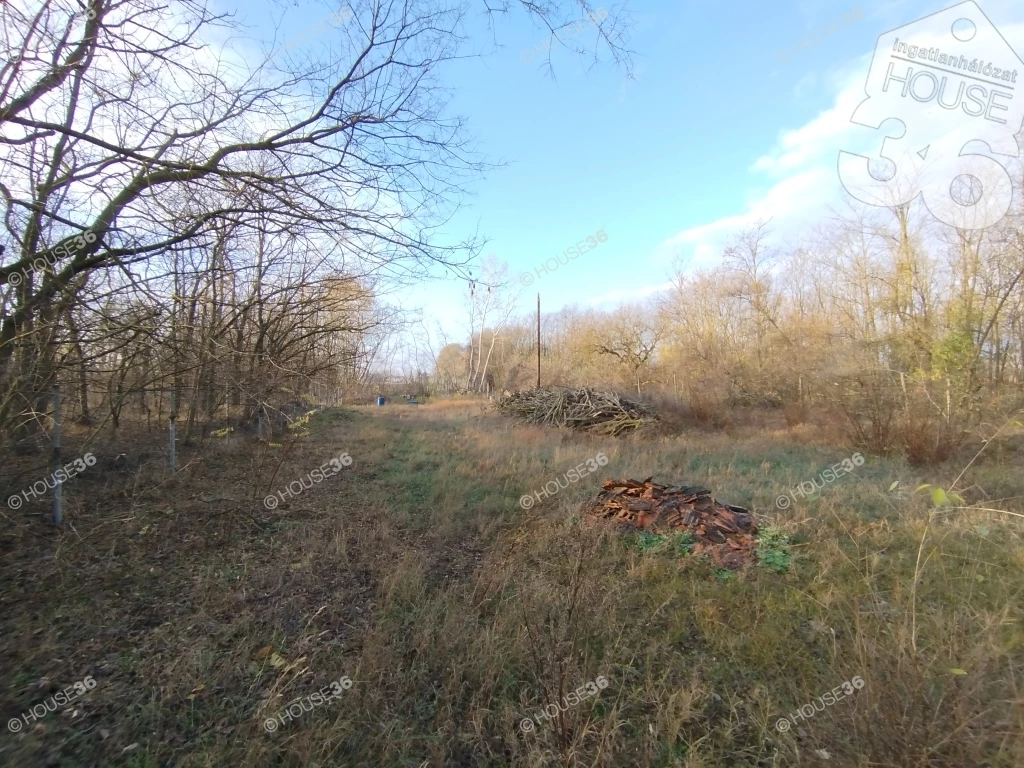 c3-1-name c2-84-name, Helvécia