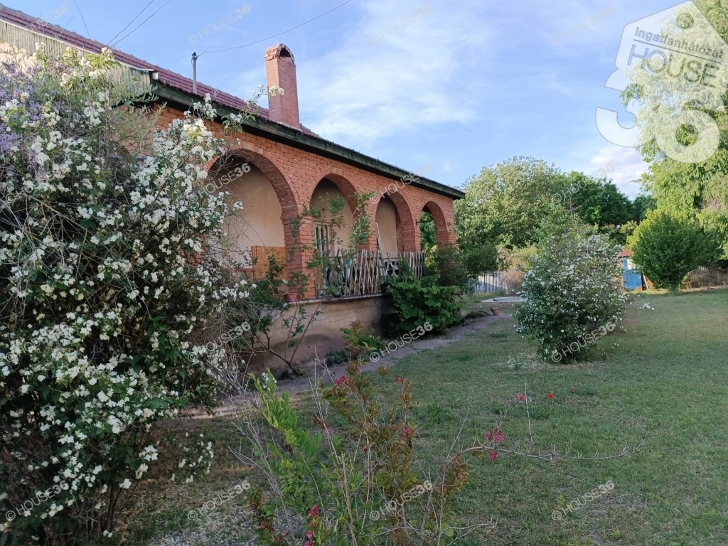 c3-1-name c2-1-name, Tiszaalpár