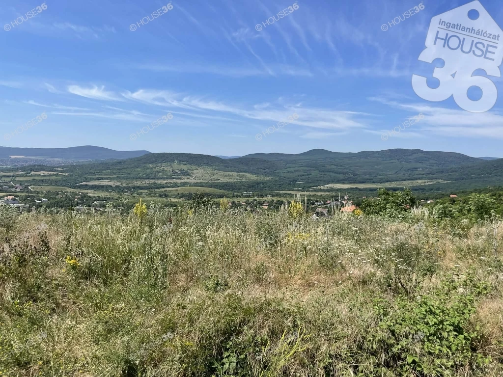 Szentendrén, Pismány-hegyen örökpanorámás telek Eladó!