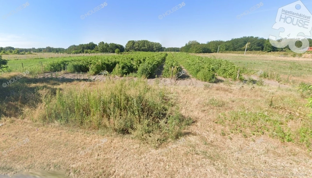 Eladó telek a Ladánybenei úton!