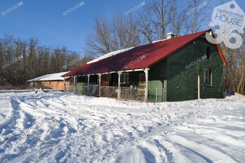 Hangulatos tanya az erdőben Eladó.