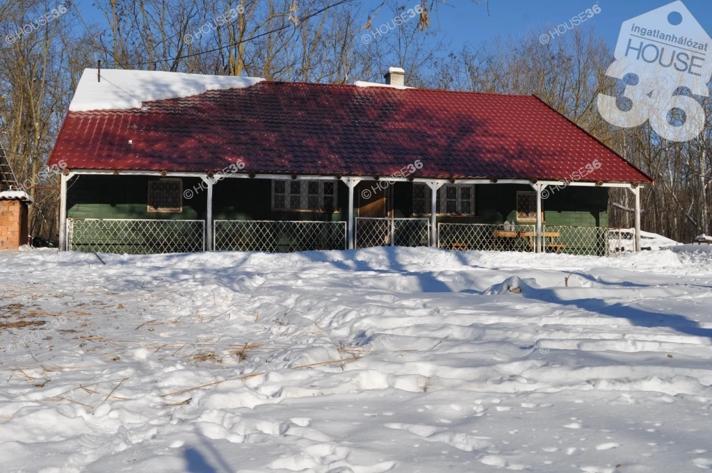 Hangulatos tanya az erdőben Eladó.