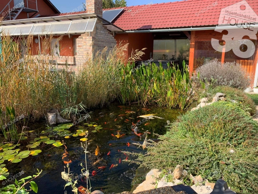 c3-1-name c2-1-name, Rácalmás