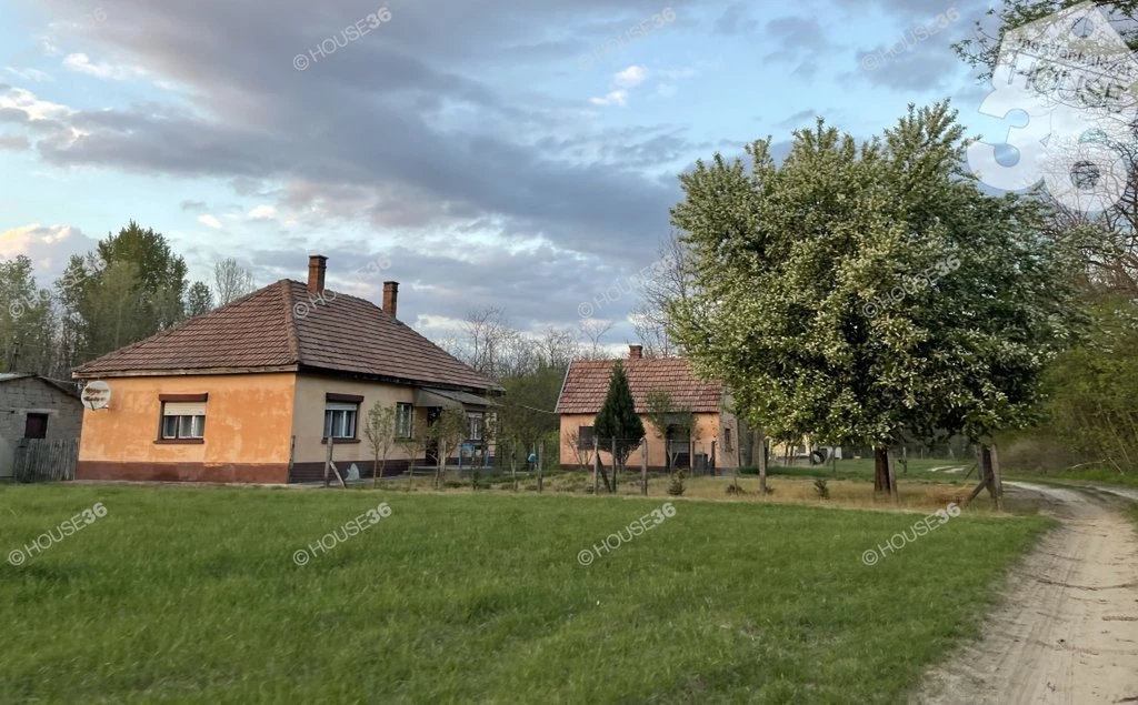 c3-1-name c2-55-name, Kecskemét