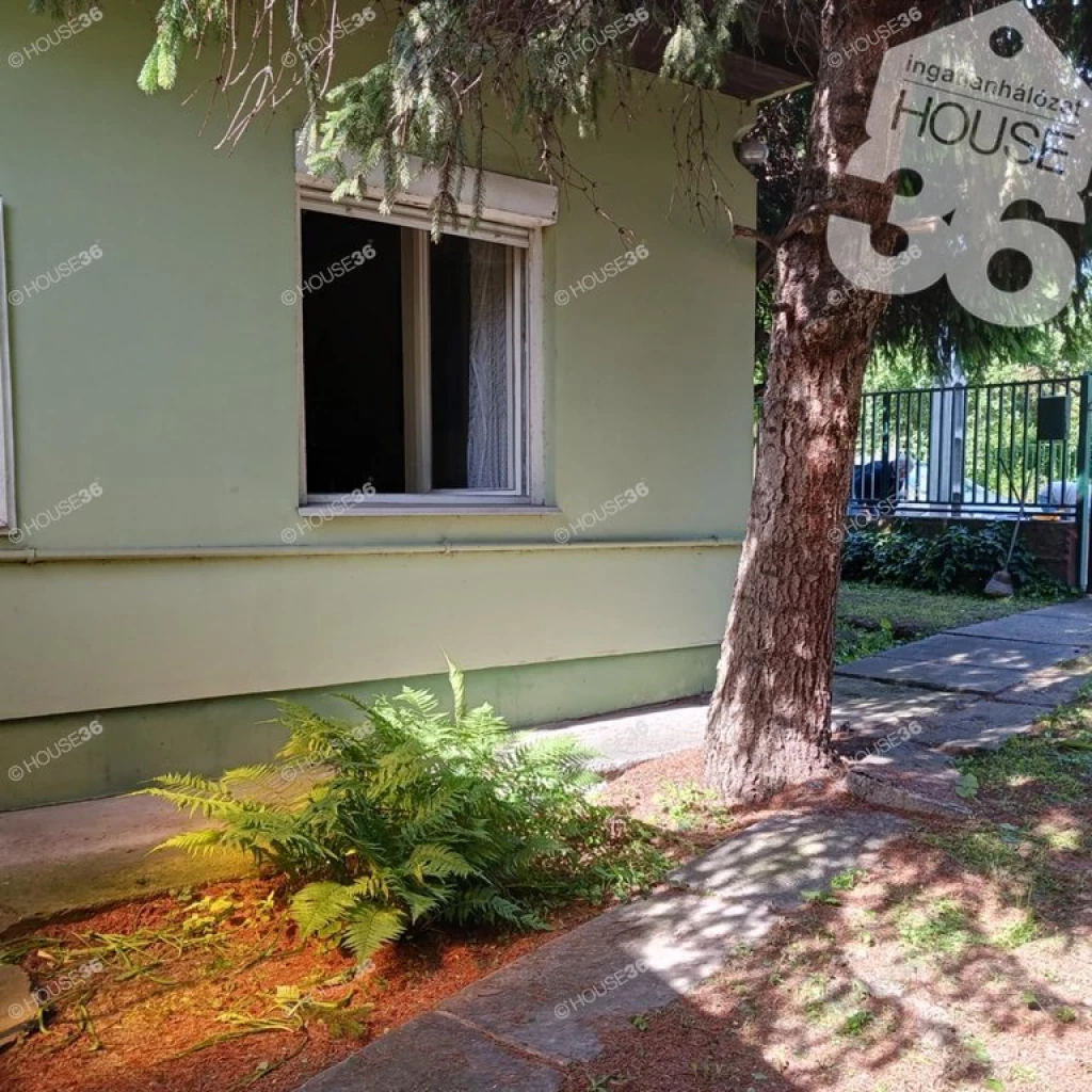 Budapesten, de mégis a természet közelében!