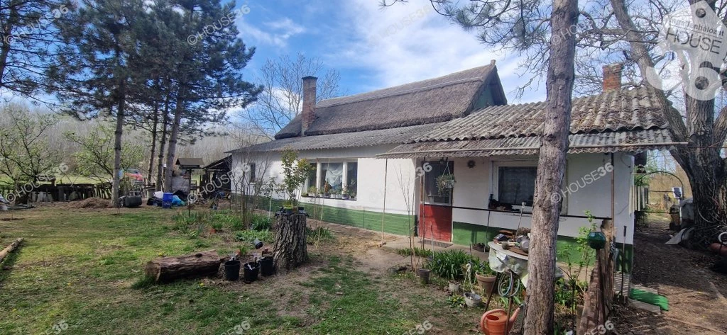 c3-1-name c2-55-name, Pálmonostora, Postaházi dűlő