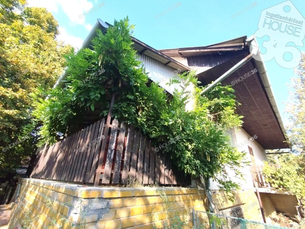 c3-1-name c2-1-name, Lakitelek