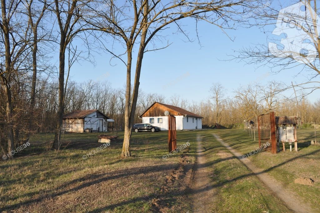 Eladó tanya Nyárlőrincen.