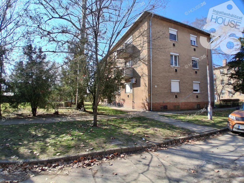 c3-1-name c2-19-name, Kecskemét, Kisfái