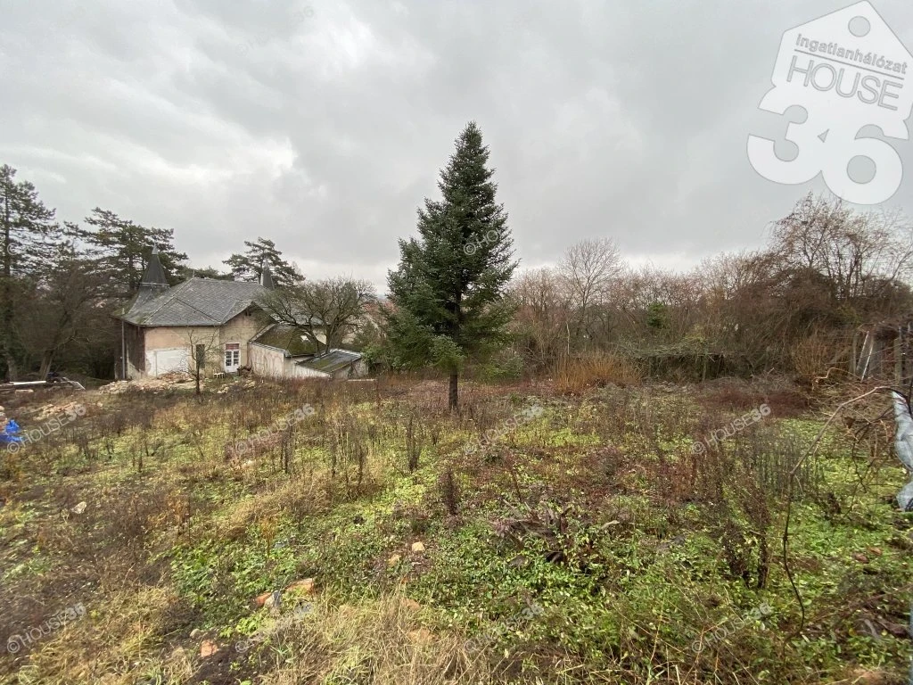 c3-1-name c2-50-name, Budakalász