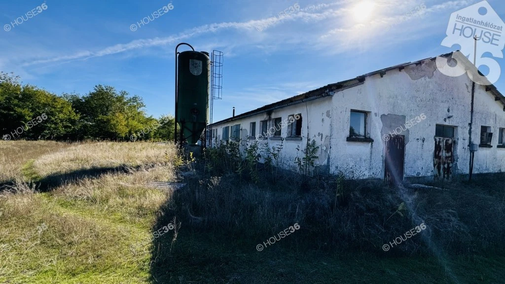 c3-1-name c2-73-name, Szabadszállás, Bartók Béla út