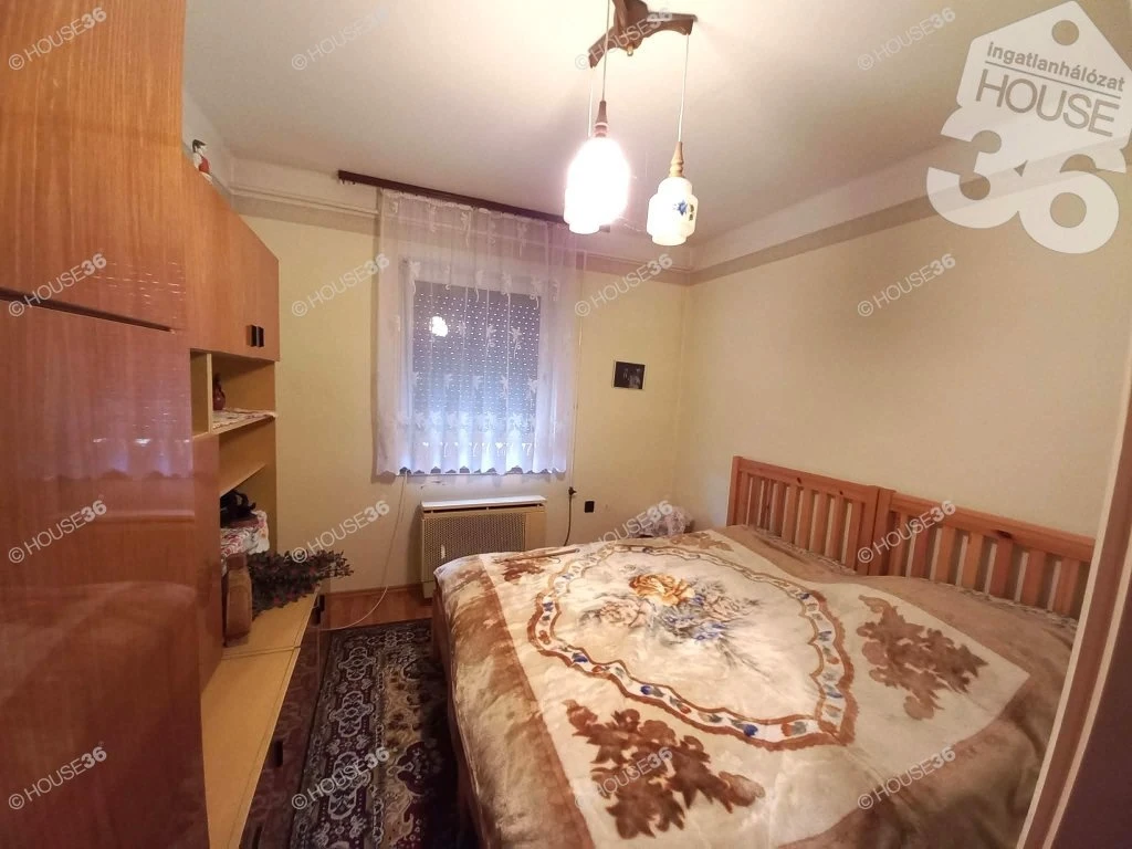 c3-1-name c2-1-name, Kecskemét