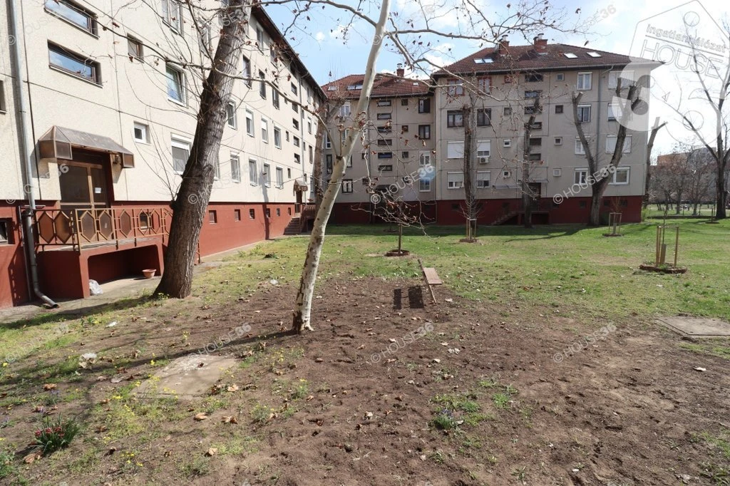 c3-1-name c2-20-name, Kecskemét, Széchenyi-város, Bajza József utca