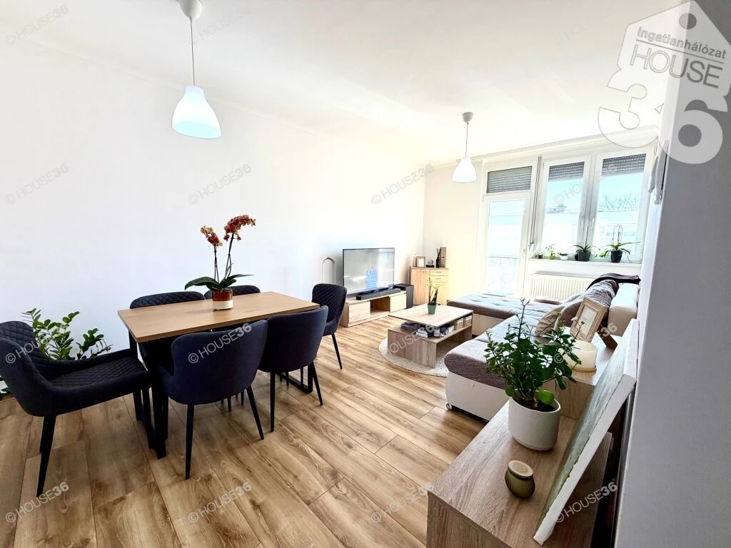 c3-1-name c2-19-name, Kecskemét, Hunyadiváros