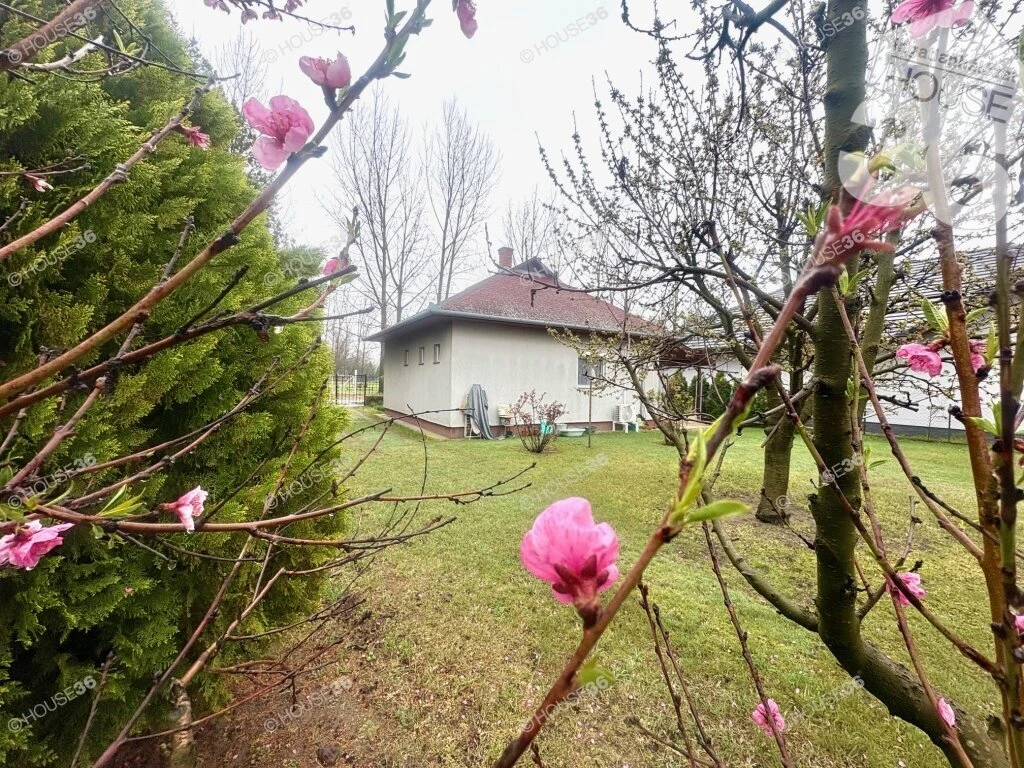 c3-1-name c2-1-name, Cserkeszőlő