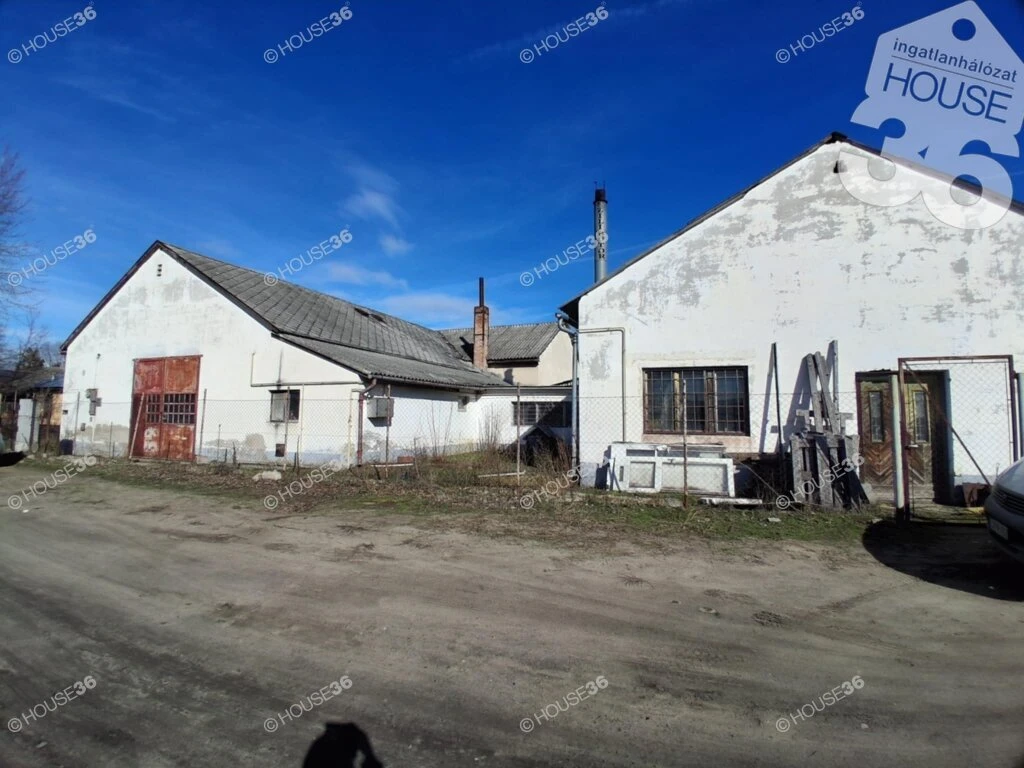 c3-1-name c2-67-name, Kecskemét, Kisfái