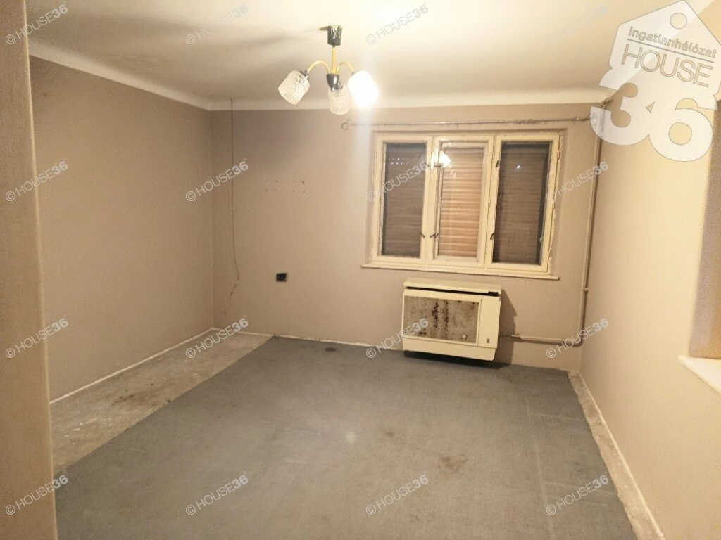 Családi ház tágas telken!