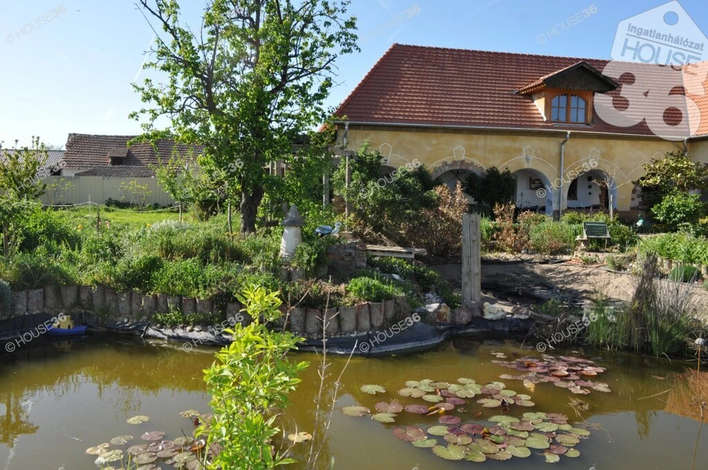 Tiszaalpáron eladó ház.