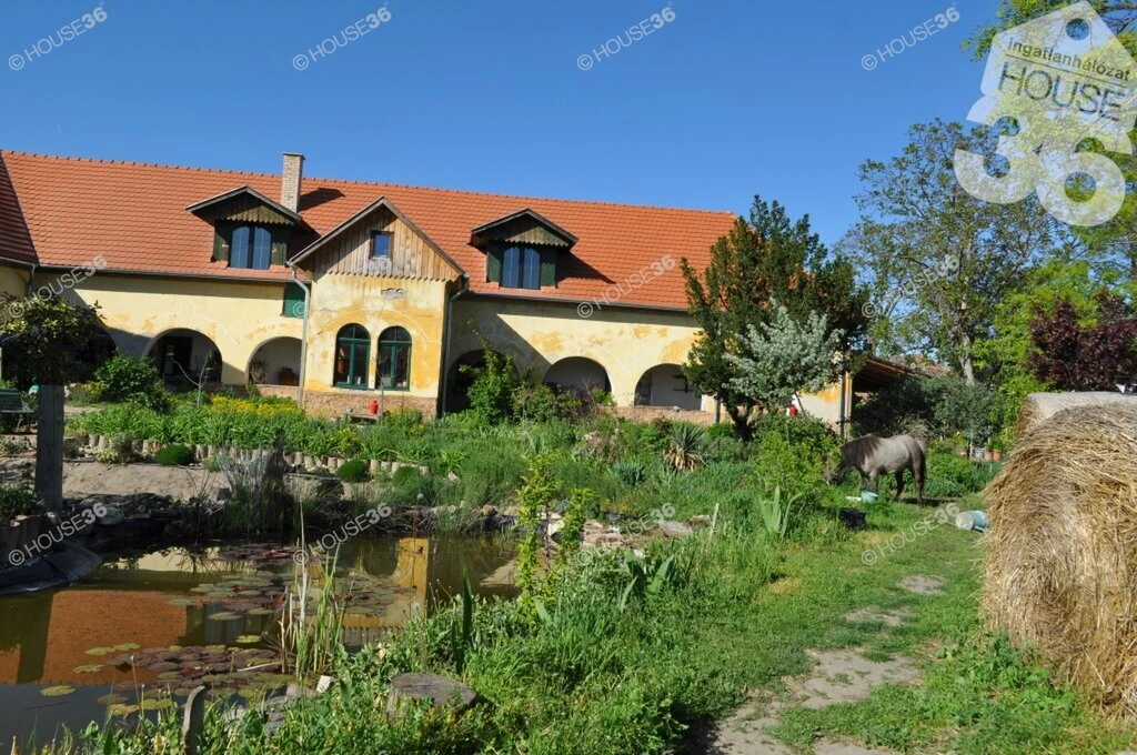 Tiszaalpáron igazi kis ékszerdoboz a Tisza parttól pár száz méterre eladó .