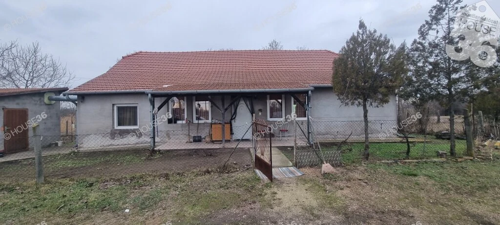 Tanyasi ház nagy területtel eladó!