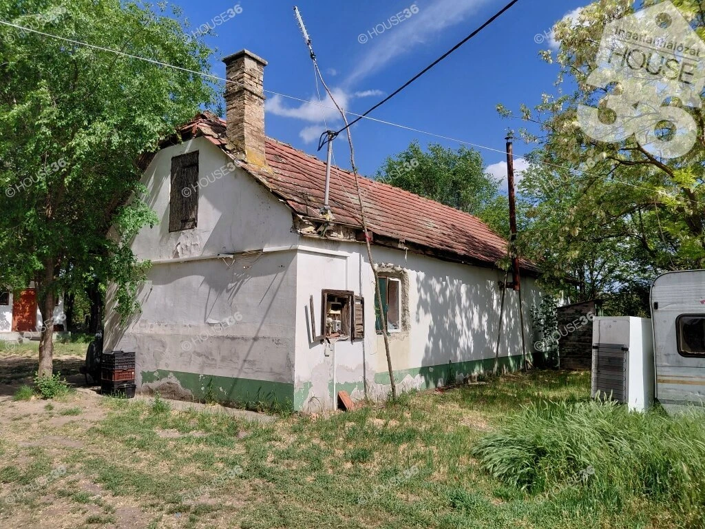 Legyen saját tanyasi tábora Kecskemét mellett!