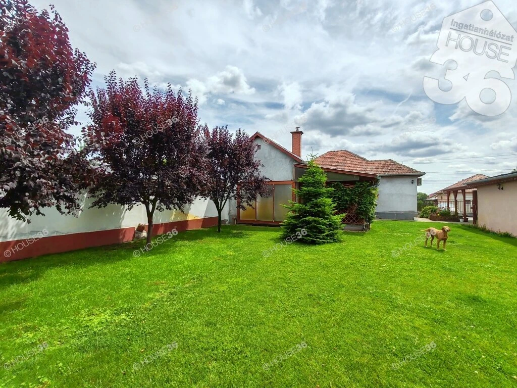 Lajosmizsén 88 m2-es, felújított családi ház, 700 m2-s önálló telken eladó!