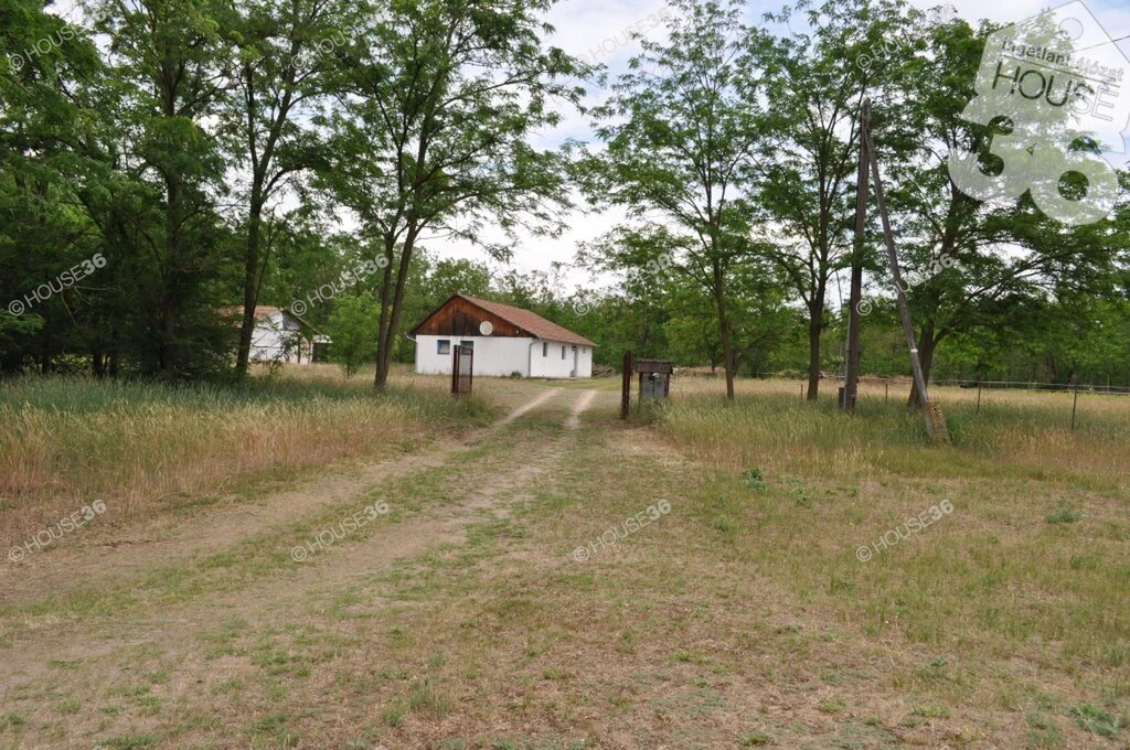 c3-1-name c2-55-name, Nyárlőrinc, Központ, Kossuth Lajos utca