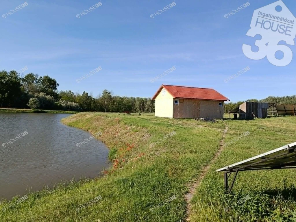 Kiskunfélegyháza és Kecskemét között víztározó-halastó eladó!