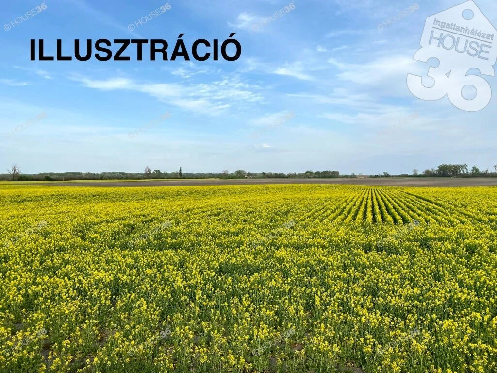 Biztos befektetés, kiváló elhelyezkedés Kétyen!