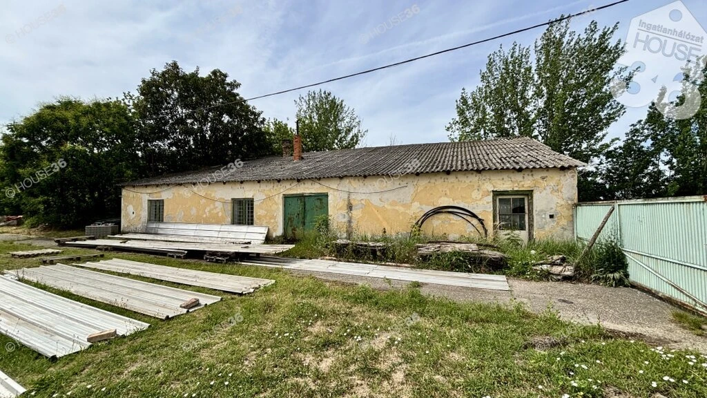 c3-1-name c2-55-name, Kiskunfélegyháza, Dr. Holló Lajos út