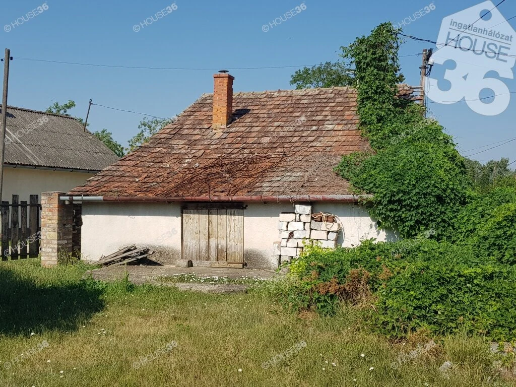 c3-1-name c2-1-name, Tiszaug