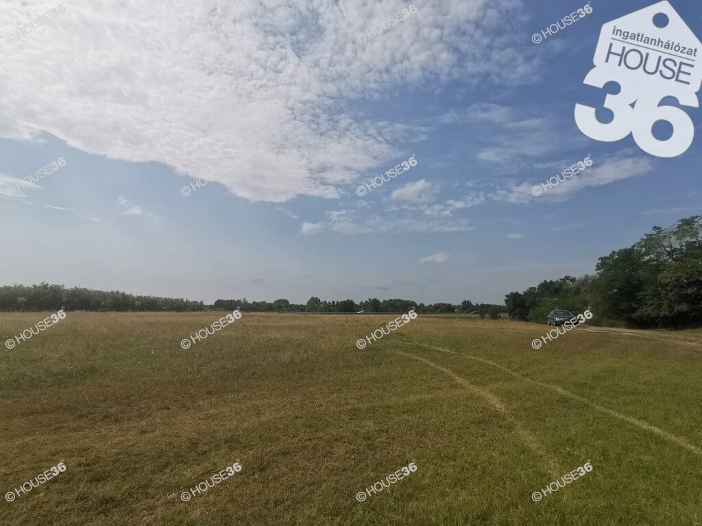 7225 m² Kecskemét külterületén – kivételesen kedvező áron!