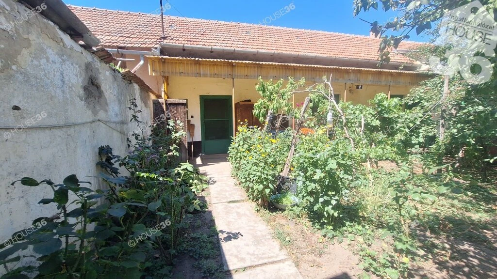 81 m2-es CSALÁDI HÁZ eladó Tiszaalpáron!