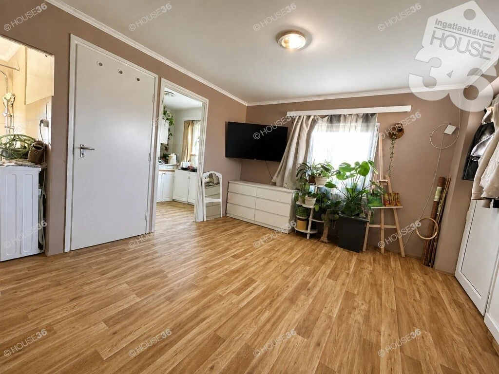 Kecskemét Halasi úti kiskert: 719 m² telek, felújított 30 m²-es házzal.