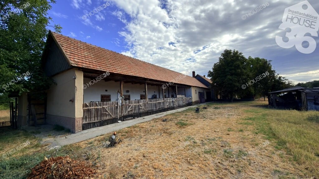 Kunszállás-Kunbábonyban családi ház eladó, 40.361 m2-es mezőgazdasági területtel!
