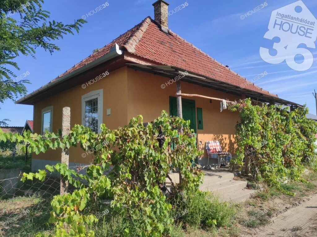 VÁROSSZÉLI TANYA INGATLAN, 2.27 ha-os TERÜLETTEL ELADÓ!