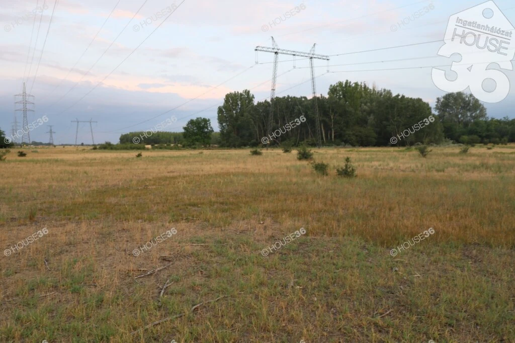 KISKUNHALAS KÜLTERÜLETÉN, MEZŐGAZDASÁGI TERÜLET ELADÓ! (38,8 ha!)